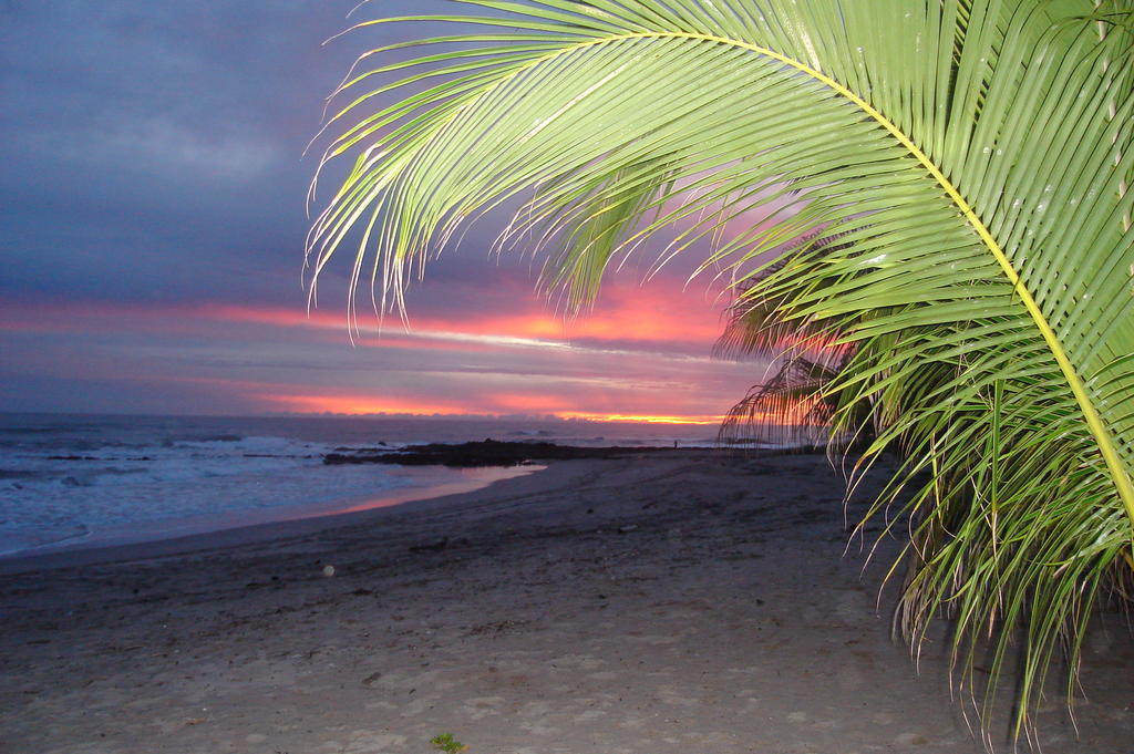 Casa Zen Guesthouse & Yoga Center Playa Santa Teresa  Bagian luar foto