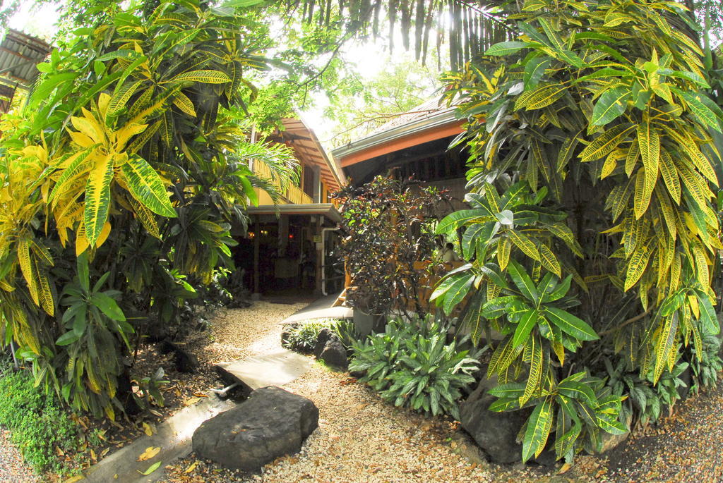 Casa Zen Guesthouse & Yoga Center Playa Santa Teresa  Ruang foto