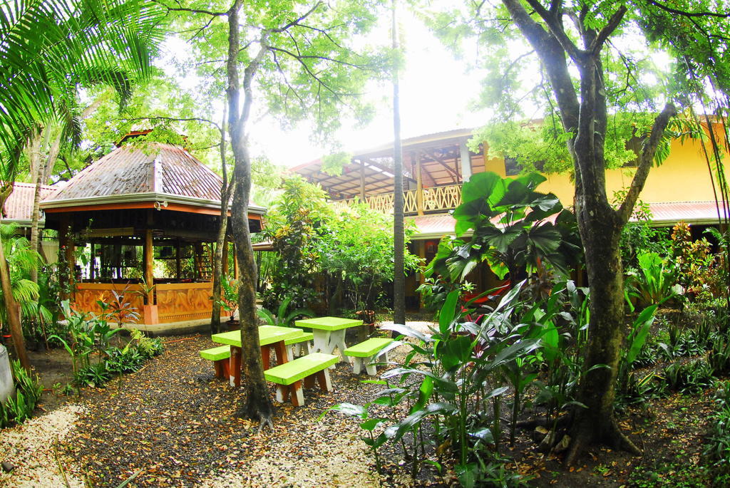 Casa Zen Guesthouse & Yoga Center Playa Santa Teresa  Bagian luar foto