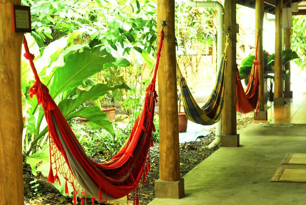 Casa Zen Guesthouse & Yoga Center Playa Santa Teresa  Bagian luar foto