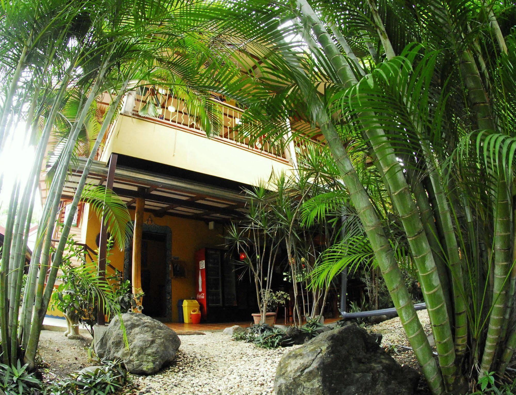Casa Zen Guesthouse & Yoga Center Playa Santa Teresa  Bagian luar foto