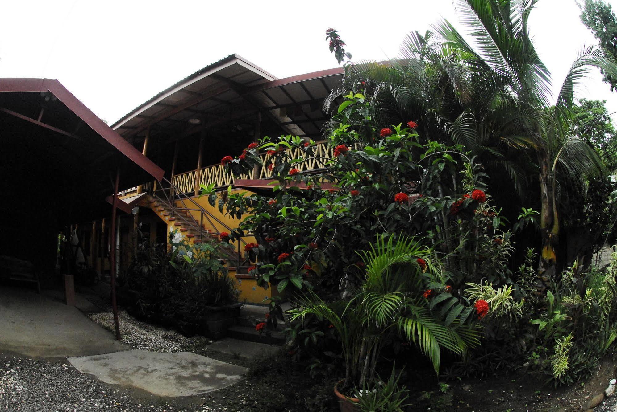 Casa Zen Guesthouse & Yoga Center Playa Santa Teresa  Bagian luar foto
