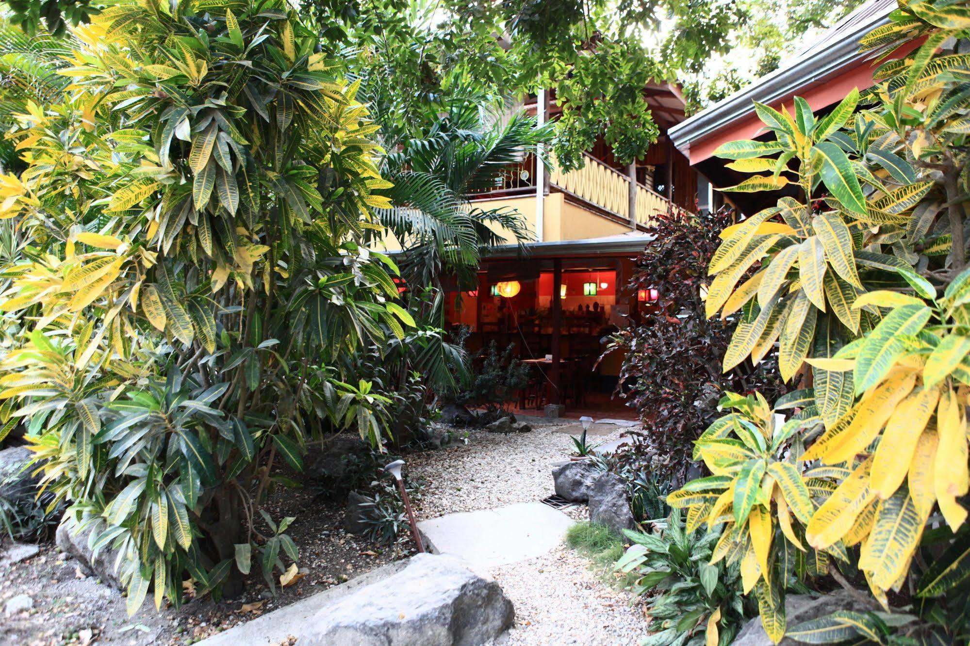 Casa Zen Guesthouse & Yoga Center Playa Santa Teresa  Bagian luar foto