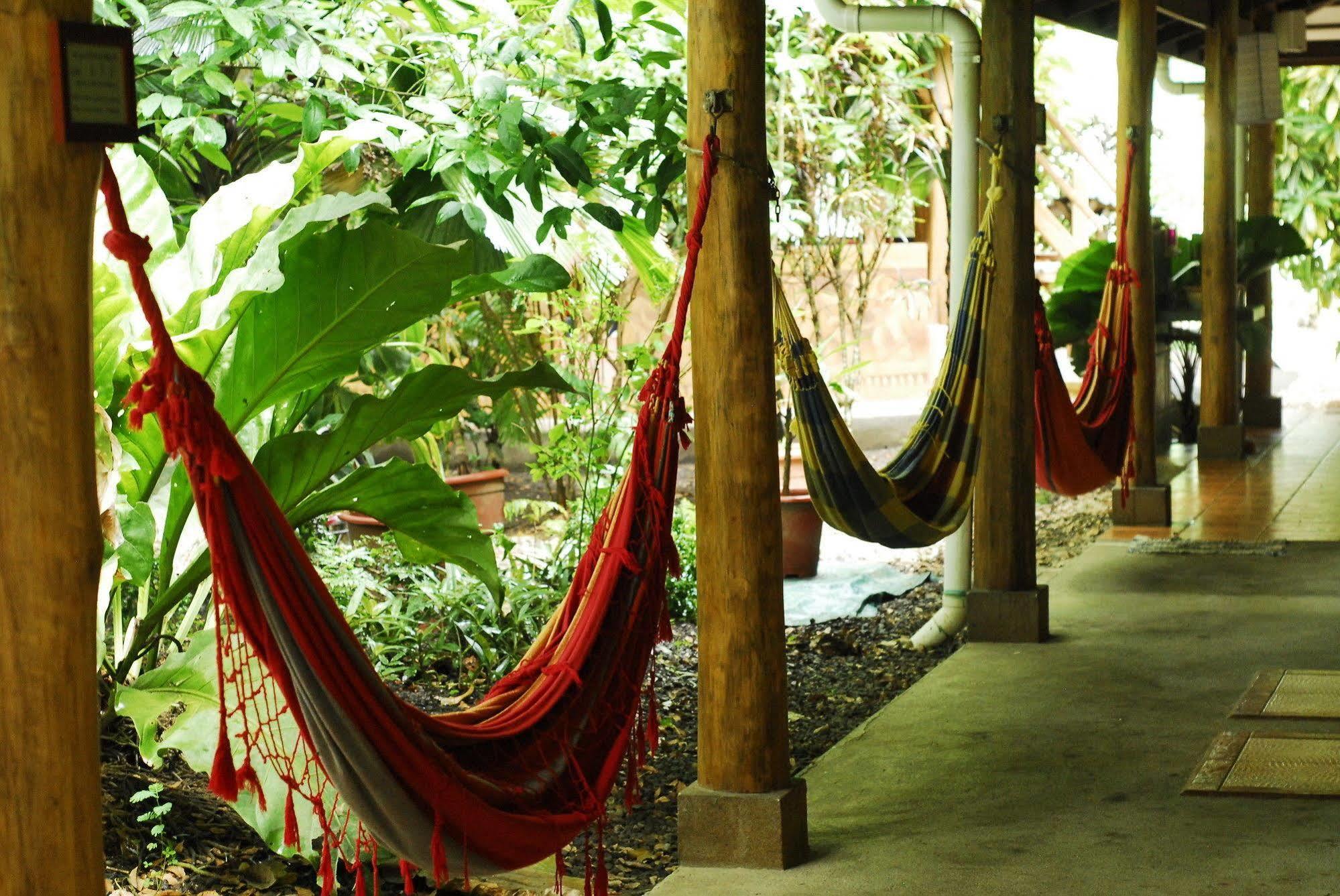 Casa Zen Guesthouse & Yoga Center Playa Santa Teresa  Bagian luar foto